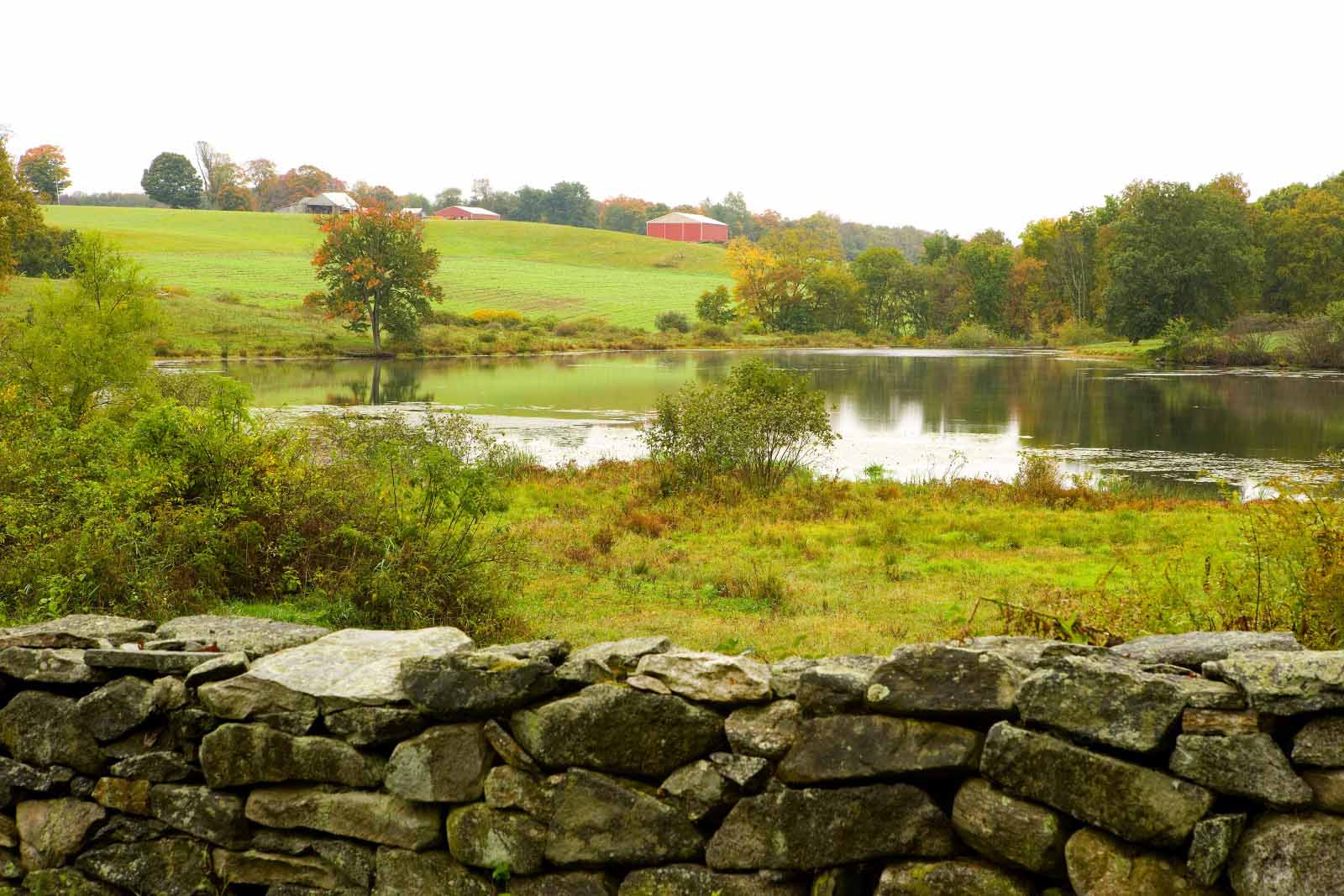 Home Stonewall Farm | Autos Post