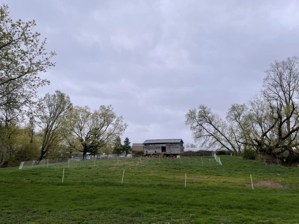 Chicken coop with fenced in grazing area where chickens roam.