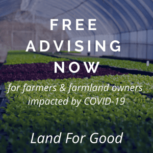 Free Advising Assistance Now written across image of seedlings in a green house