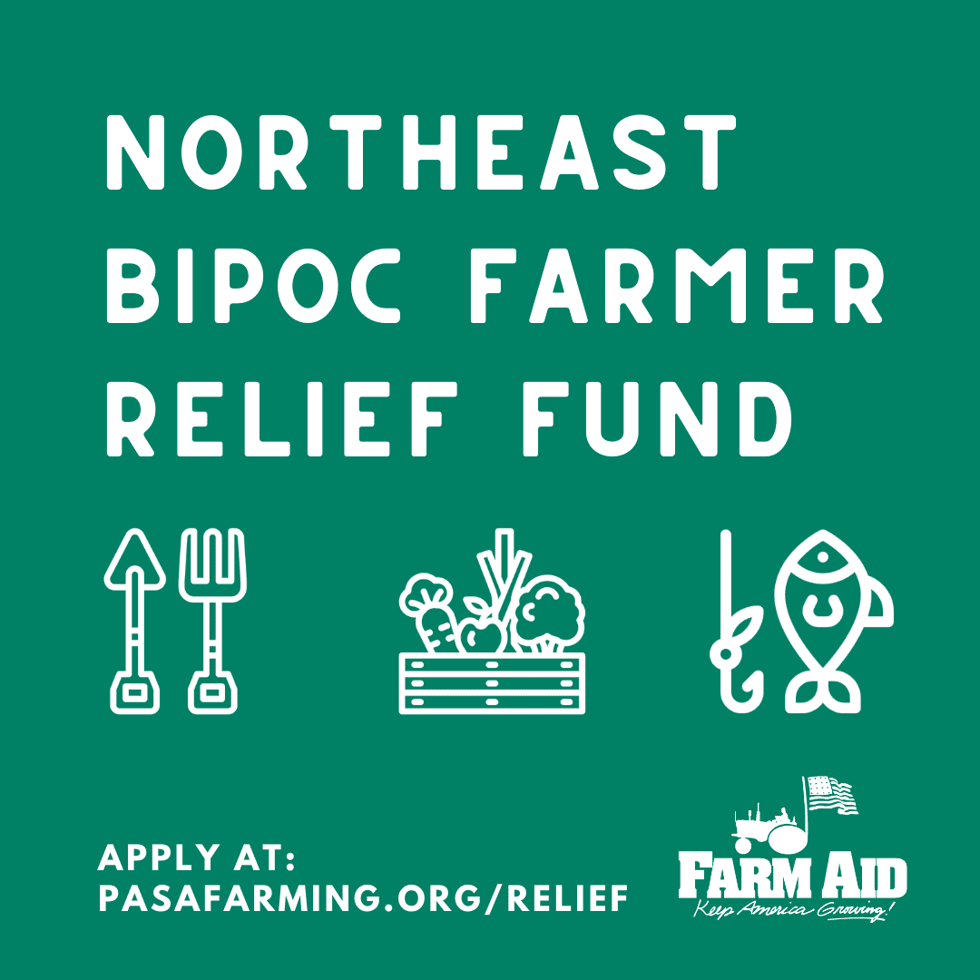 Northeast BIPOC Farmer Relief Fund accepting applications starting July