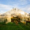 Microgrants Program awards $180,000 to New England farmers unsplash-greenhouse-sun-reflection2